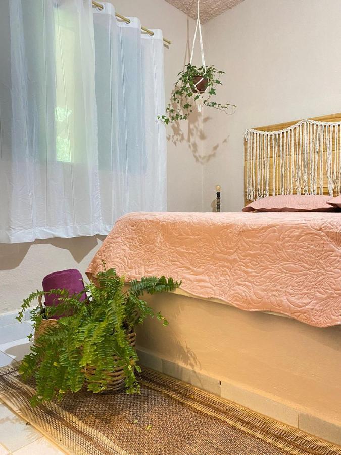 Casa Dos Ventos - Refugio, Sustentabilidade, Conexao Ubatuba Εξωτερικό φωτογραφία